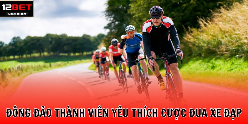 Đông đảo thành viên yêu thích cược đua xe đạp